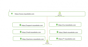 AskSSL Wildcard Domain SSL